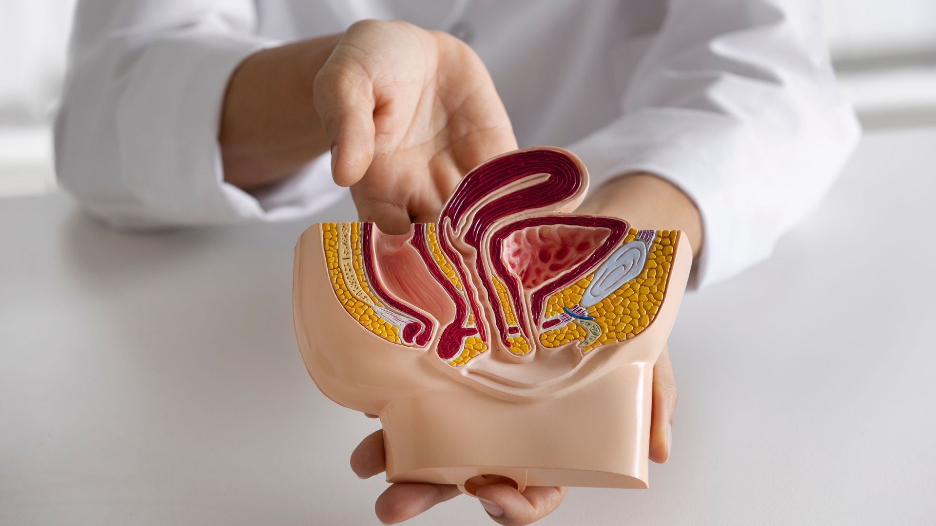 proctologia-conheca-tudo-sobre-essa-especialidade-da-proctogastro-clinica